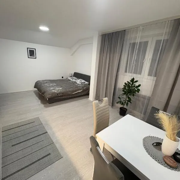 Fenix Apartman III，位于扎耶查尔的酒店