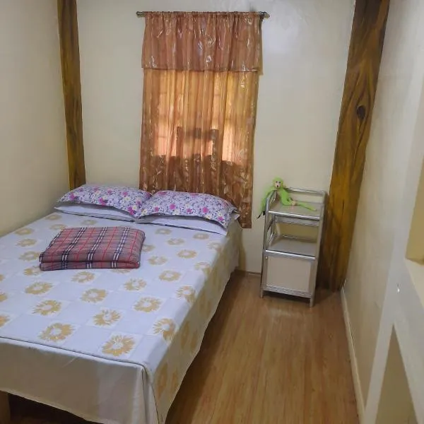Hiker's Homestay，位于巴纳韦的酒店