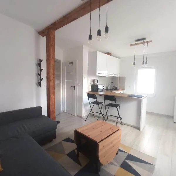 Apartament Wolności，位于耶莱尼亚古拉的酒店