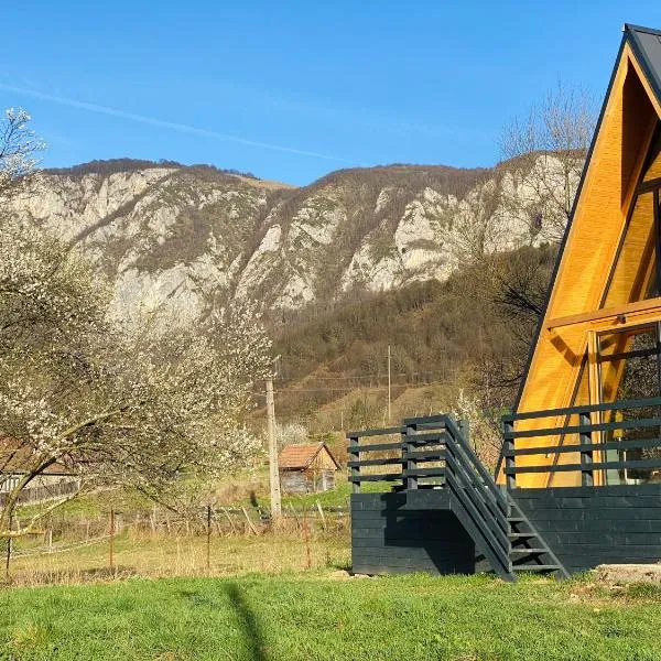 Sălciuella Dream Cabin，位于Sălciua de Jos的酒店