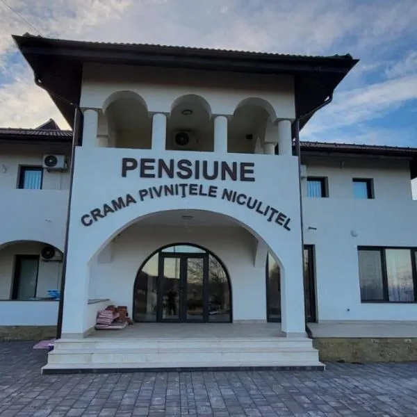 Pensiunea Crama Pivnițele Niculițel，位于Niculiţel的酒店