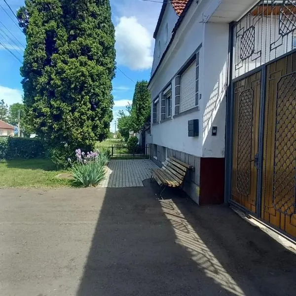 Pensiunea Magnolia，位于Prejmer的酒店