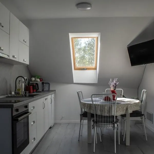 Sàndor-lak apartman,位于Ciceu的酒店