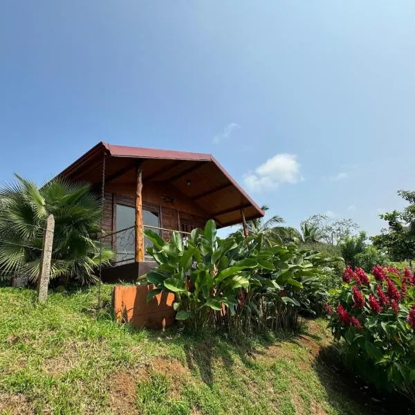 Villa Lomas Sarapiquí，位于Colonia Carvajal的酒店