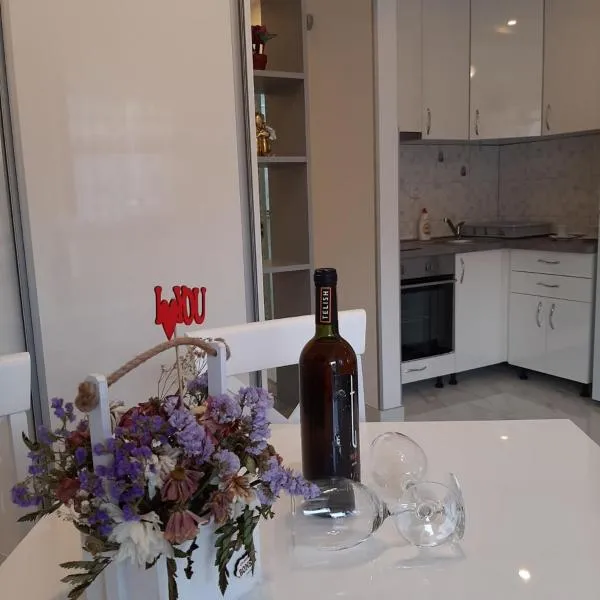 Apartmani LaVa igalo 1，位于伊加洛的酒店