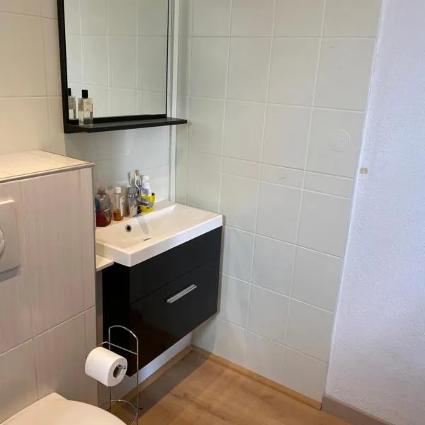 Nancy, Magnifique studio totalement climatisé, meublé, salle de bains et wc séparés, parking privé, cuisine équipée, WIFI，位于Malzéville的酒店