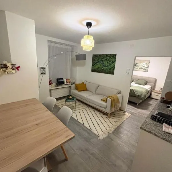 Top Apartment in Center of Zurich，位于苏黎世的酒店