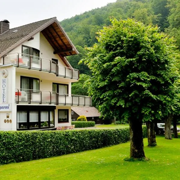 Harz hotel Iris，位于Sieber的酒店