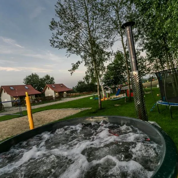 Ostoja Lemany - domki na Kaszubach, sauna, balia-jacuzzi, plac zabaw, tyrolka , dwa boiska, miejsce na ognisko, grill gazowy，位于Lemany的酒店