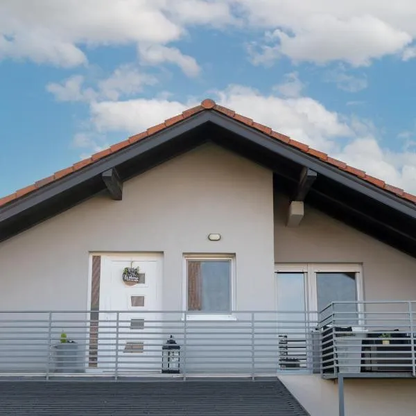 Apartman Kačićeva，位于武科瓦尔的酒店