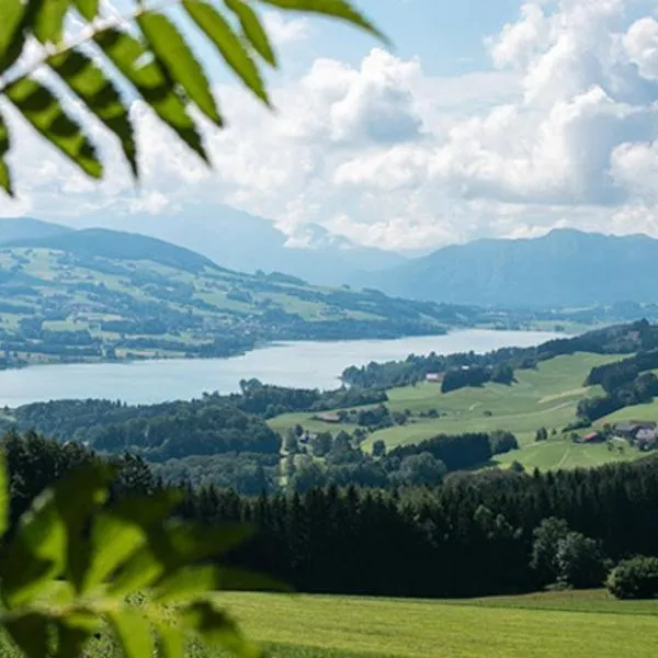 CK Apartment，位于Oberhofen am Irrsee的酒店