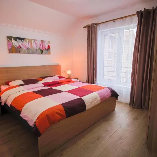 APARTAMENT DOMINA - deluxe - self check-in, 1 sau 2 dormitoare，位于Sînnicolau Mare的酒店