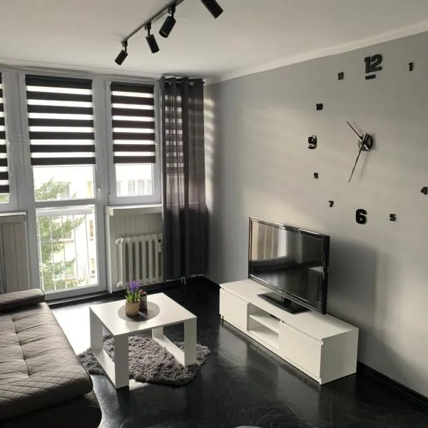 Apartament na Jasnym，位于杰尔若纽夫的酒店