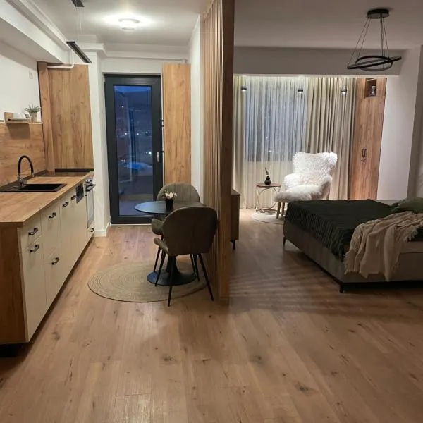 Studio Sara，位于拉姆尼库沃尔恰的酒店