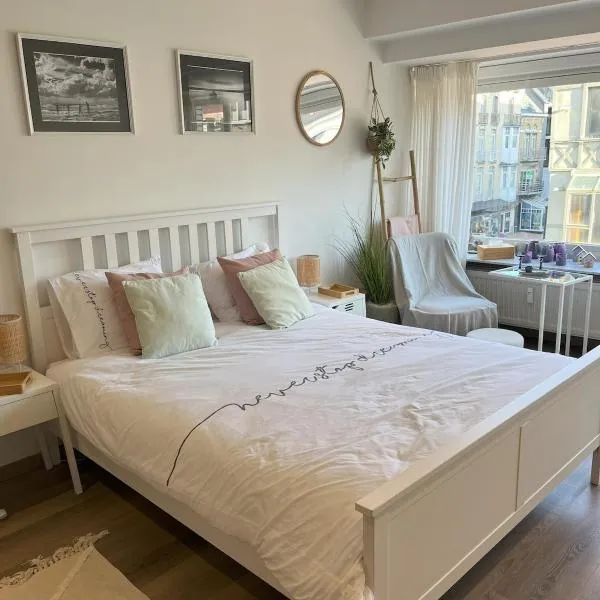 Sea Escape comfortable studio 50m from the beach，位于米德尔克尔克的酒店