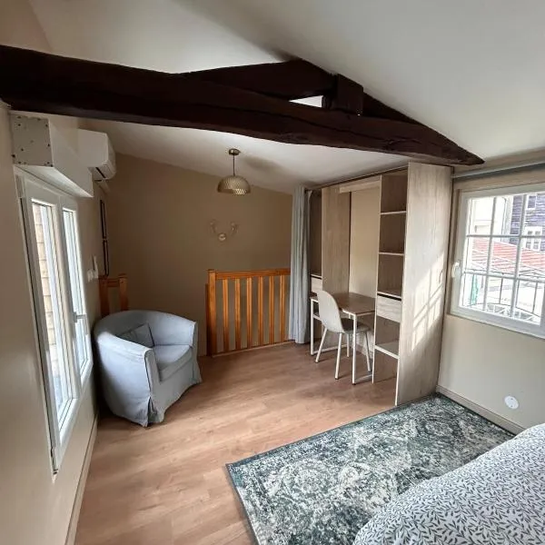 Appartement F1 duplex Hyper centre，位于圣迪济耶的酒店