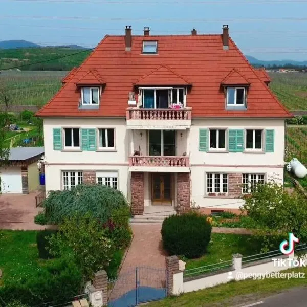 Gite Villa Turckheim，位于蒂尔凯姆的酒店