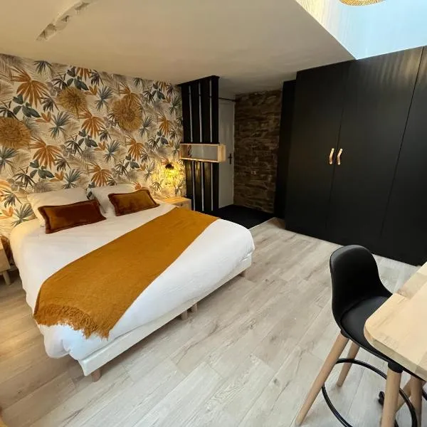 Rouzic - Studio Appart Hôtel，位于拉尼翁的酒店