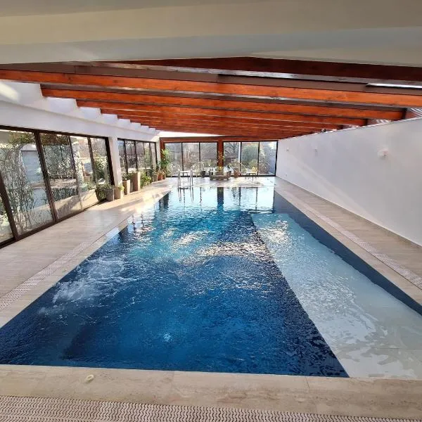 TREND - cazare, gradina, piscina，位于阿拉德的酒店