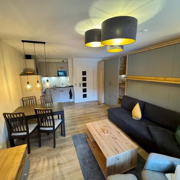 Gipfelblick Apartment，位于戈斯拉尔的酒店