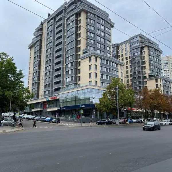 Park House Apartment，位于基希讷乌的酒店