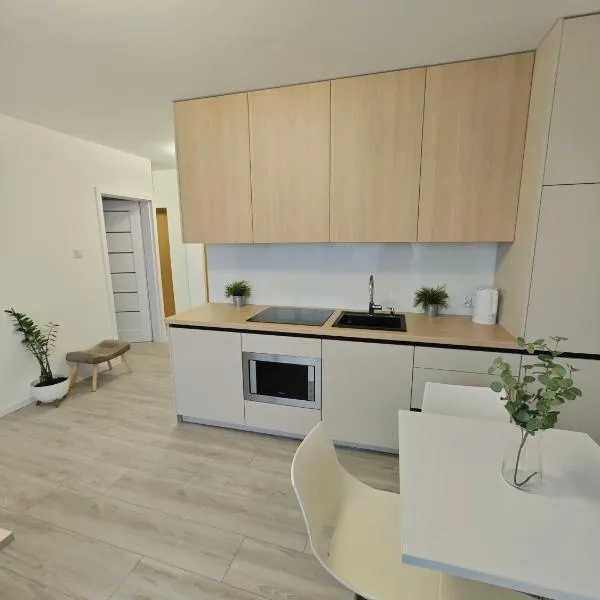 Korczaka Apartment，位于埃尔布隆格的酒店