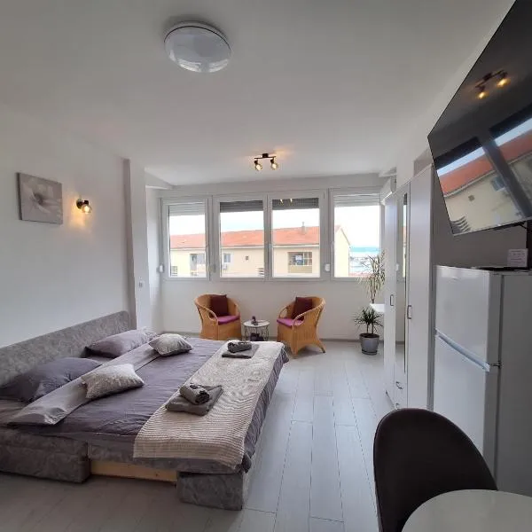 Mystic Grey Studio Apartment，位于普洛切的酒店