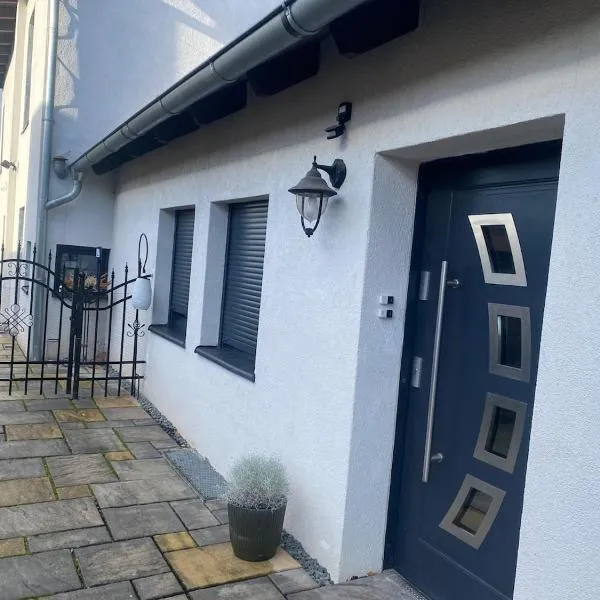 Schäferstr 43，位于派内的酒店