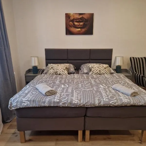 Černá Růže- apartmán 2，位于比尔森的酒店