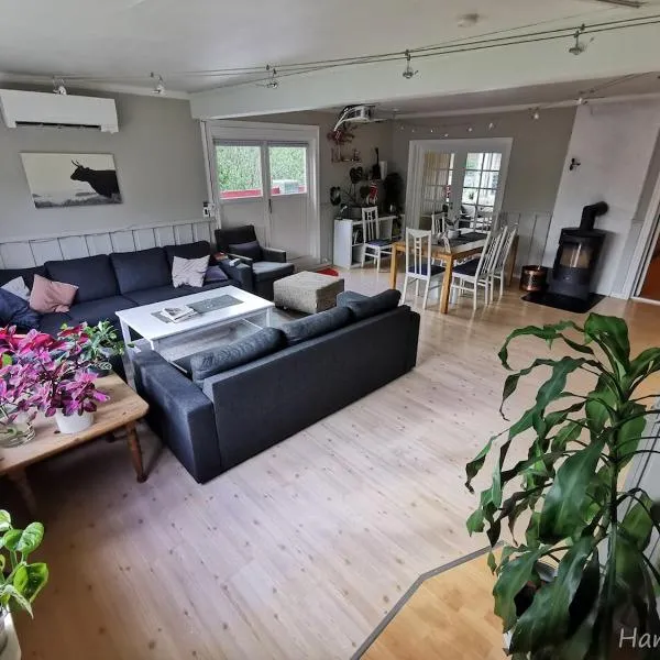 Hemsedal - 7 bedrooms - WI-FI，位于海姆瑟达尔的酒店