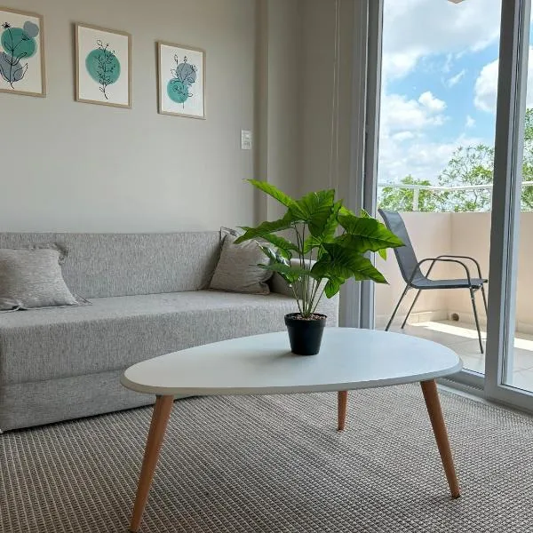 Republica Apartment，位于Luque的酒店