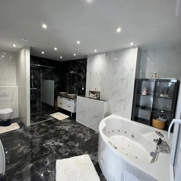 Magnifique appartement，位于Faverolles-sur-Cher的酒店