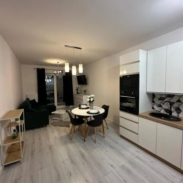 Apartament nad Iławką 28，位于伊拉华的酒店