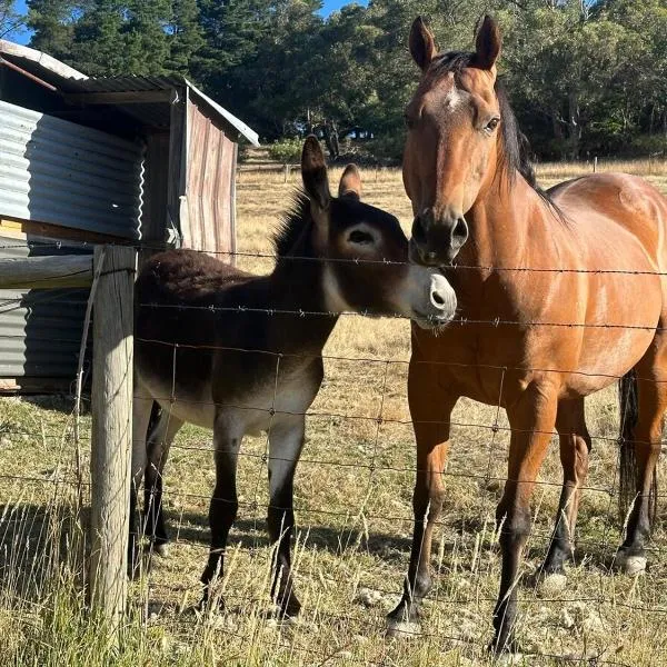 Little creek farm stay，位于Norton Summit的酒店