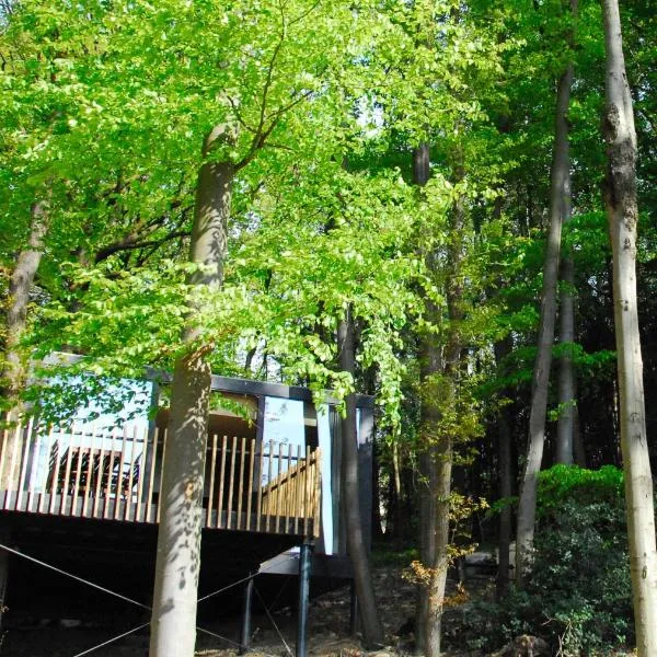 Gite des Bois de Spa，位于斯帕的酒店