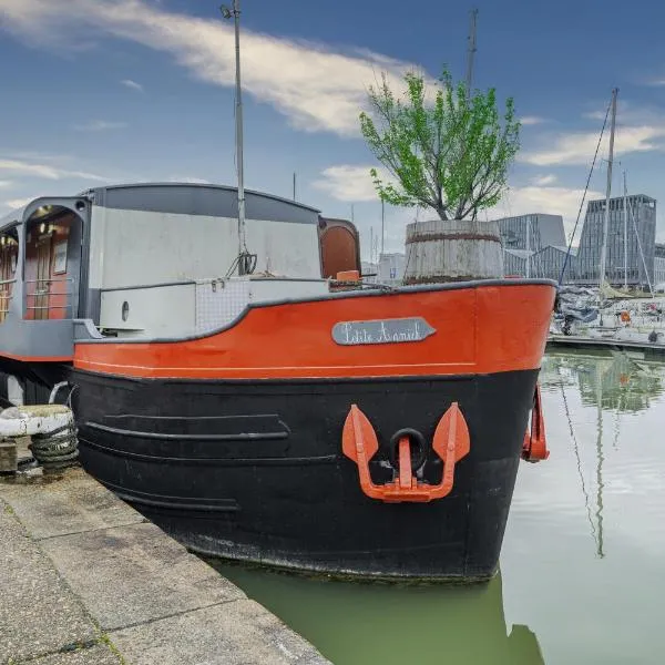 Superbe Péniche En Centre Ville，位于波尔多的酒店
