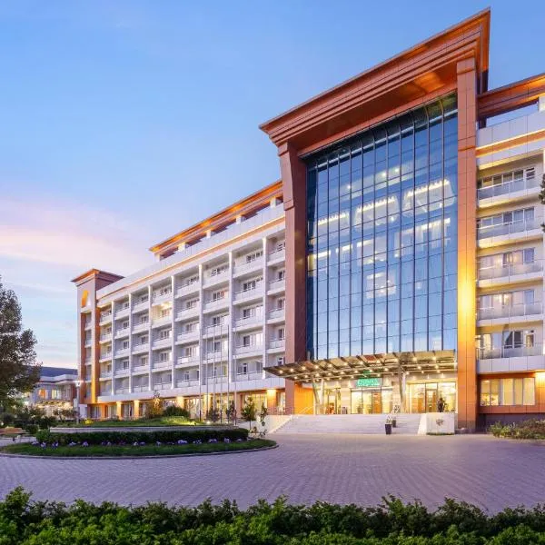 Chinar Health Hotel Naftalan，位于纳夫塔兰的酒店