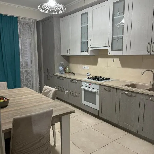 Heart welcoming park apartment，位于基希讷乌的酒店