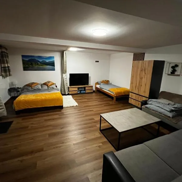 Apartament Pieniny，位于拉普斯尼恩的酒店