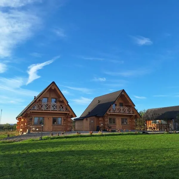 Domki Wojtasówka，位于Obrazów的酒店