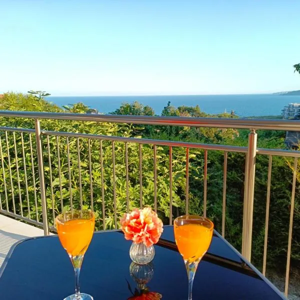 Villa Black Sea，位于巴尔奇克的酒店