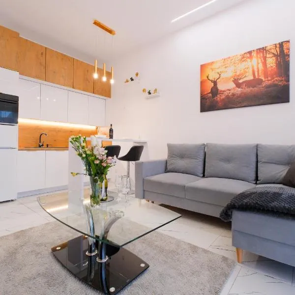 Apartament Perłowy Wellness - Laguna Beskidów，位于Bierna的酒店
