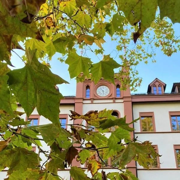 ODELYA - Stadthotel im Park，位于巴塞尔的酒店