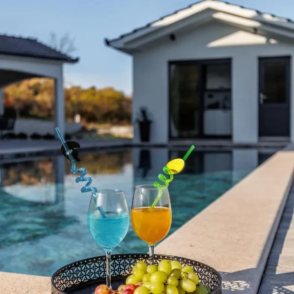 Villa Vilma-house with heated pool & garden,位于特里尔的酒店