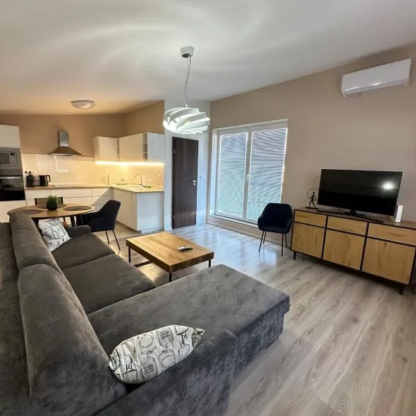 Samorin Loft with large terrace，位于沙莫林的酒店