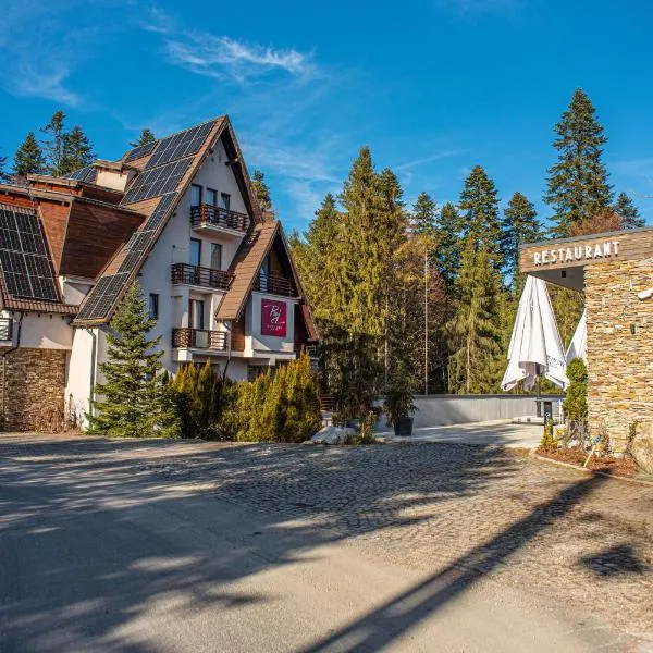 Paj Hotelul Retreat & Spa，位于锡纳亚的酒店