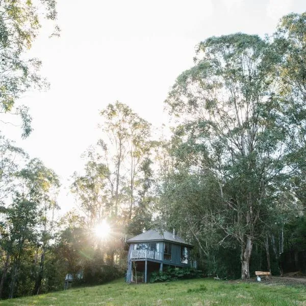 Bluegums Cabins Barrington Tops，位于Dungog的酒店