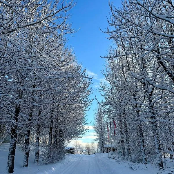 Forest Cabin #11 in Hvolsvöllur, with outside jacuzzi! - Self check-in，位于霍尔斯沃德吕尔的酒店