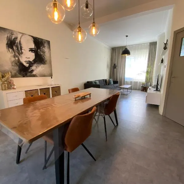 Ruime woning nabij Antwerpen en haven，位于布拉斯哈特的酒店