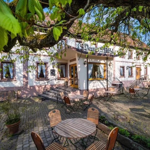 Landhaus Wern's Mühle，位于Ottweiler的酒店